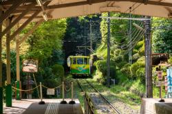 夏休みのおでかけは家族で高尾山へGO！　京王電鉄の「Mt.TAKAO号」でらくらくアクセス