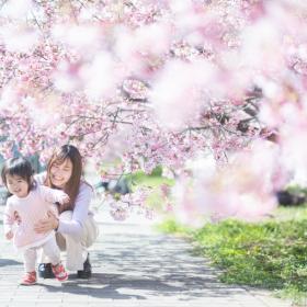 【べびふぉと無料撮影会】ファミリー桜撮影会🌸 in 札幌中島公園