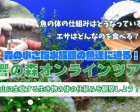 【無料イベント】氷ノ山自然ふれあい館 響の森オンラインツアー