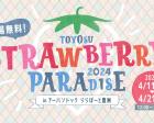 Toyosu Strawberry Paradise