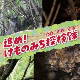 和歌山県立自然博物館 特別企画展「進め！けものみち探検隊」