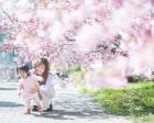 【べびふぉと無料撮影会】桜撮影会🌸 in 帯広市緑ヶ丘公園