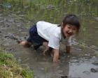【キャンセル待ち受付中！】明日香村で古代米の田植えをしよう！