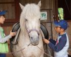 夏休み子供キャンプ／馬と旅する北海道・牧場キャンプ【6泊7日】
