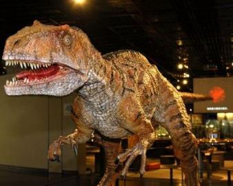 福井県立恐竜博物館（FPDM）