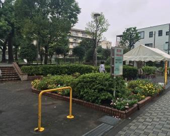 舟入川公園