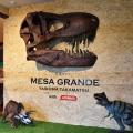 恐竜カフェ MESA GRANDE（メサ グランデ）