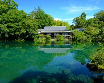 三島市立公園 楽寿園