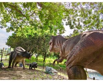 【期間限定】ダイナソーアドベンチャーツアー大恐竜パークinカントリーパーク