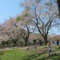 石川県林業試験場樹木公園