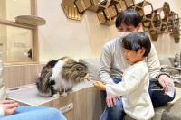 猫カフェ MOCHA（モカ） イオンモール筑紫野店