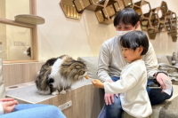 猫カフェ MOCHA（モカ） 町田ジョルナ店
