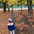 紅葉が映える秋晴れの北海道神宮⛩七...