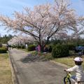 自転車に乗りに行きました。園内が広...