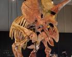 恐竜科学博に行ってきました。