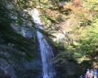 紅葉と滝