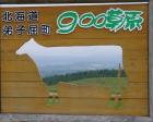 900草原