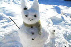 親子で楽しくできる、上手な雪だるまの作り方