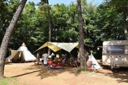 関東近郊のアスレチックが楽しめるキャンプ場7選　子ども大満足