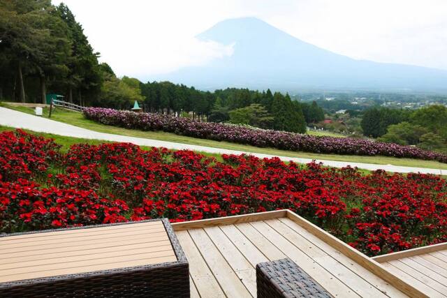 富士山の絶景に感動＆体験尽くし！「まかいの牧場」完全ガイド！