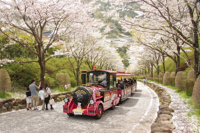 【神奈川】お花見＆遊具が楽しめる公園まとめ　無料で子供大満足