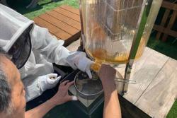 日本初「養蜂体験型カフェ」誕生　はちみつが採れる＆お土産も！