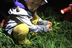 3歳から挑戦！　初めての夜のカブトムシ探検は感動＆驚きの連続
