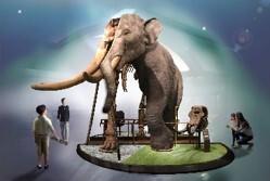 琵琶湖博物館がリニューアルオープン　半骨半身ゾウ標本は世界初