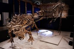 2022夏休みの大型「恐竜イベント」12選　世界初公開＆発掘体験も