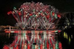 「那須りんどう湖」花火大会が2021年は10月も開催！　約3,500発