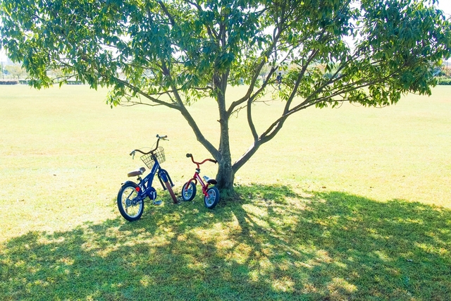 【東京】レンタサイクルがある公園7選　親子サイクリングに最適