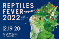 大阪市に「爬虫類＆小動物」が大集合　ふれあい＆エサやり体験も