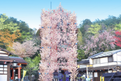「伊勢忍者キングダム」が新生！　本格江戸庭園＆巨大桜タワーも