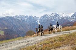 「白馬岩岳マウンテンリゾート」が夏期営業開始　絶景＆乗馬も！