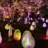 大阪「長居公園」にチームラボ常設展　夜の植物園がアート空間に