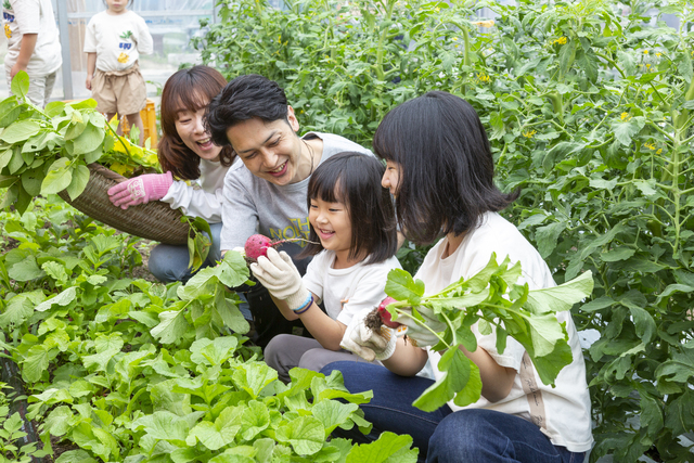 那珂川市に体験農園OPEN！　野菜の収穫＆ワークショップ＆BBQも