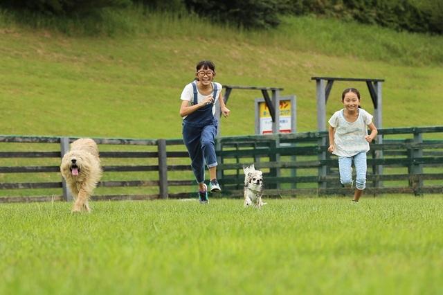 関東近郊の愛犬と楽しめるいちご狩りスポット8選　ドッグランも