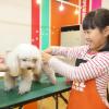 【東海】犬とふれあえるスポットおすすめ3選　愛知県内の近場も