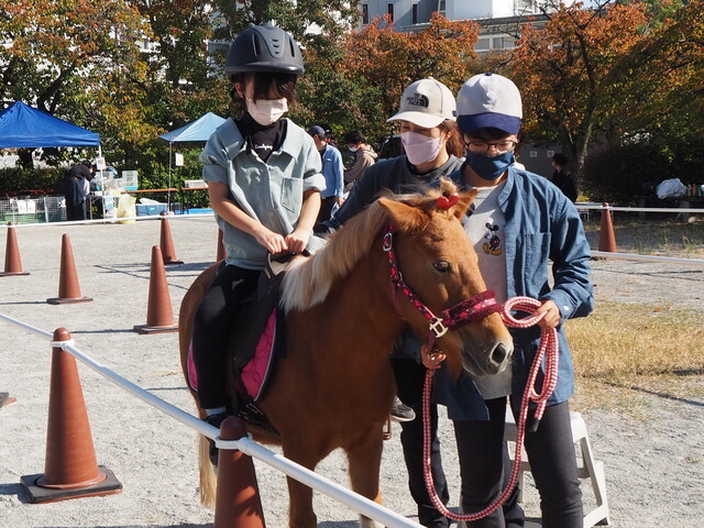 世田谷区「下北線路祭」にふれあい動物園　乗馬無料＆餅つきも！