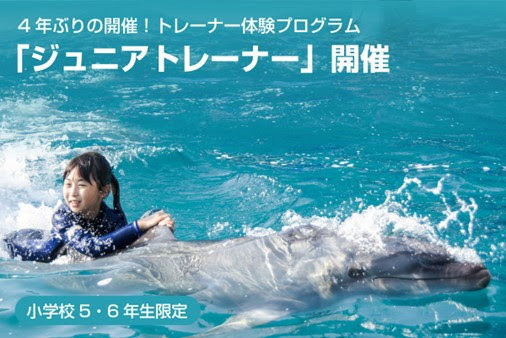 4年ぶり開催！　「鴨川シーワールド」でイルカと泳げる職業体験