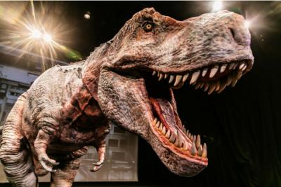 全国で人気の「恐竜ライブショー」が巡回公演！