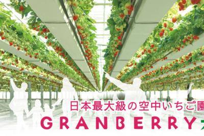 日本最大級＆関東初の「空中いちご園」　7種を食べ比べ