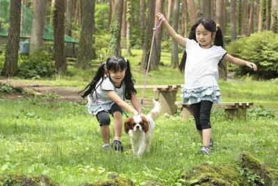 【2023】関東近郊の「犬とふれあえる施設」8選！