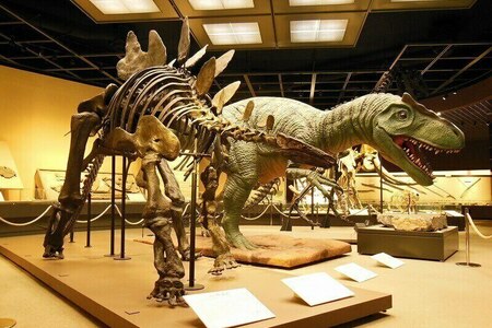 【関東近郊】子供500円以下で楽しめる「恐竜博物館」9選