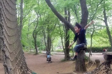 【千葉】幼児でも遊べるアスレチック9選！