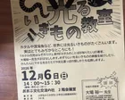  親子で探そう！光るいきもの教室