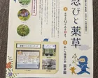 忍びと薬草