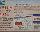 第4回講座 湧水から生まれた学校ビオトープの自然を学ぼう!!