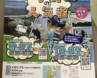 干潟の人気者