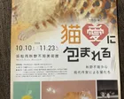特別展 猫愛に包まれれる